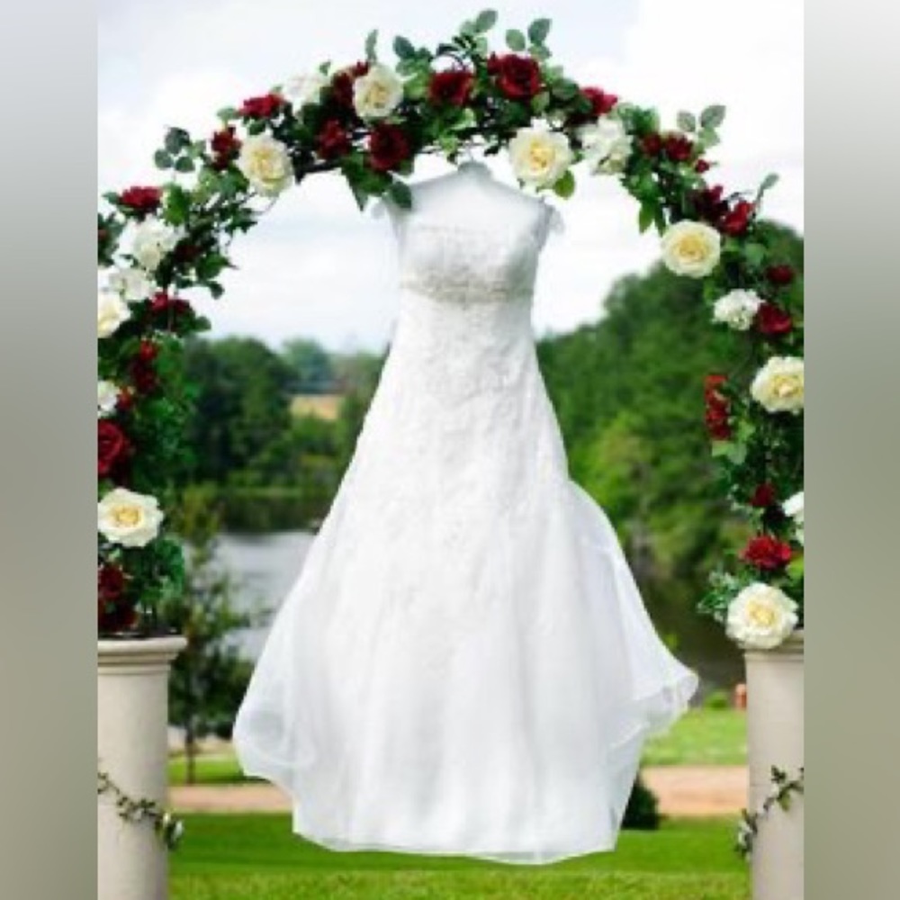 David’s Bridal Organza Wedding Dress with Beaded Lace and Veil